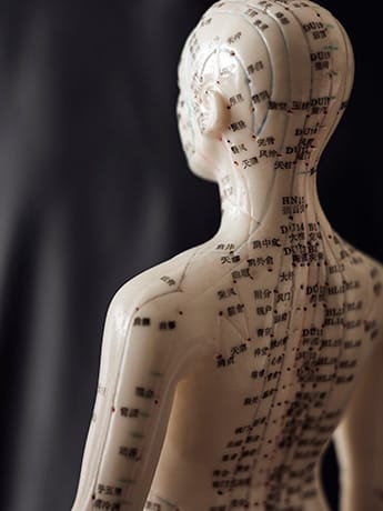Chinese Meridians body LR