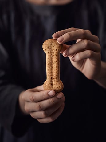 Dog biscuit in hands LR