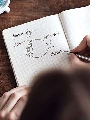 Drawing human eye LR