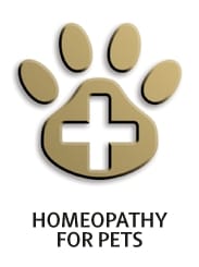 First Aid Course Logo