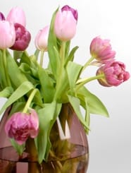Pink flowers