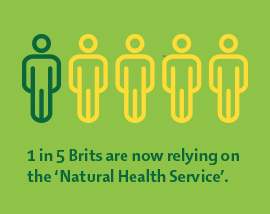Natural Health Survey