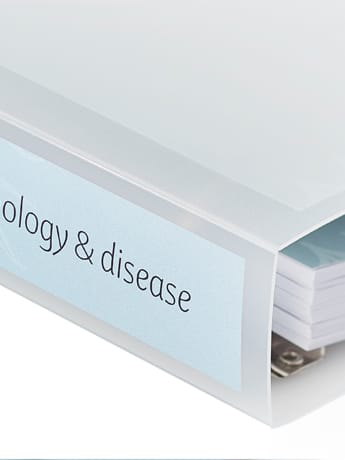 P&D  course folder Spine