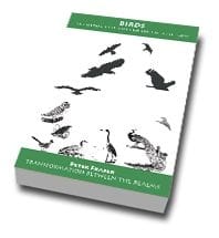 Birds - seeking the freedom of the sky