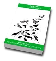 Insects: Escaping the earth