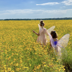 The Great Outdoors - 7 reasons why kids should play outside