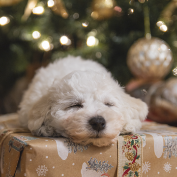 Give the gift of good health